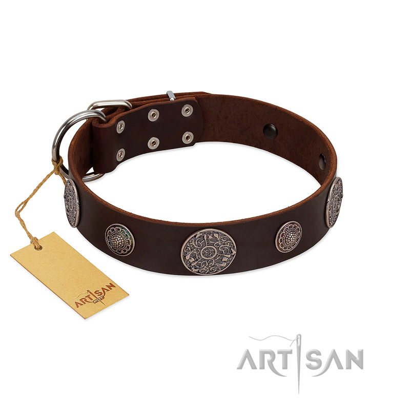 "Flashy Woof" FDT Artisan Brown Leather Riesenschnauzer Collar with Chrome Plated Brooches