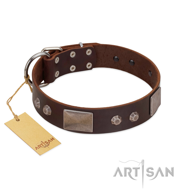 "Stone Stars" Stylish Handmade FDT Artisan Brown Leather Riesenschnauzer Collar