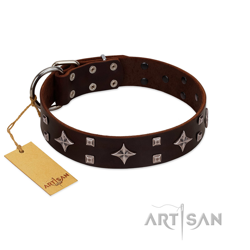 "Trendy Candy" FDT Artisan Brown Leather Riesenschnauzer Collar Adorned with Stars and Tiny Squares