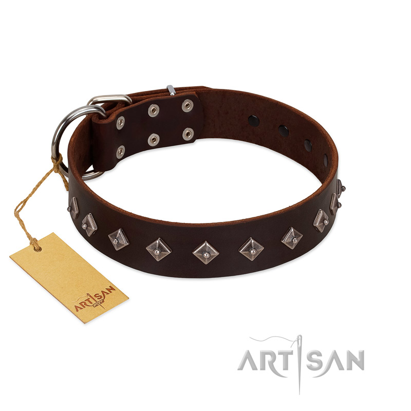 "Boundless Energy" Premium Quality FDT Artisan Brown Designer Leather Riesenschnauzer Collar with Small Pyramids