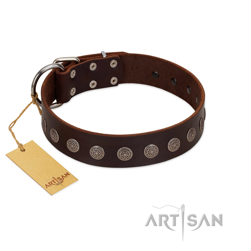 "Starry-Eyed" Best Quality FDT Artisan Brown Designer Leather Riesenschnauzer Collar with Small Plates