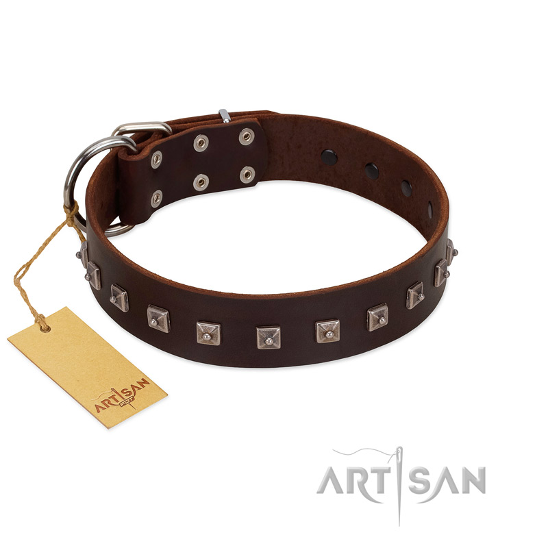 "Kingly Grace" FDT Artisan Brown Leather Riesenschnauzer Collar with Silver-like Dotted Studs