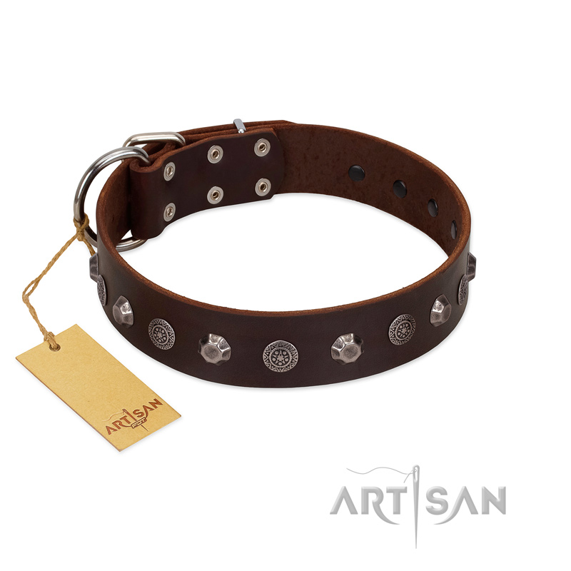 "Dark Chocolate" Handmade FDT Artisan Brown Leather Riesenschnauzer Collar with Studs