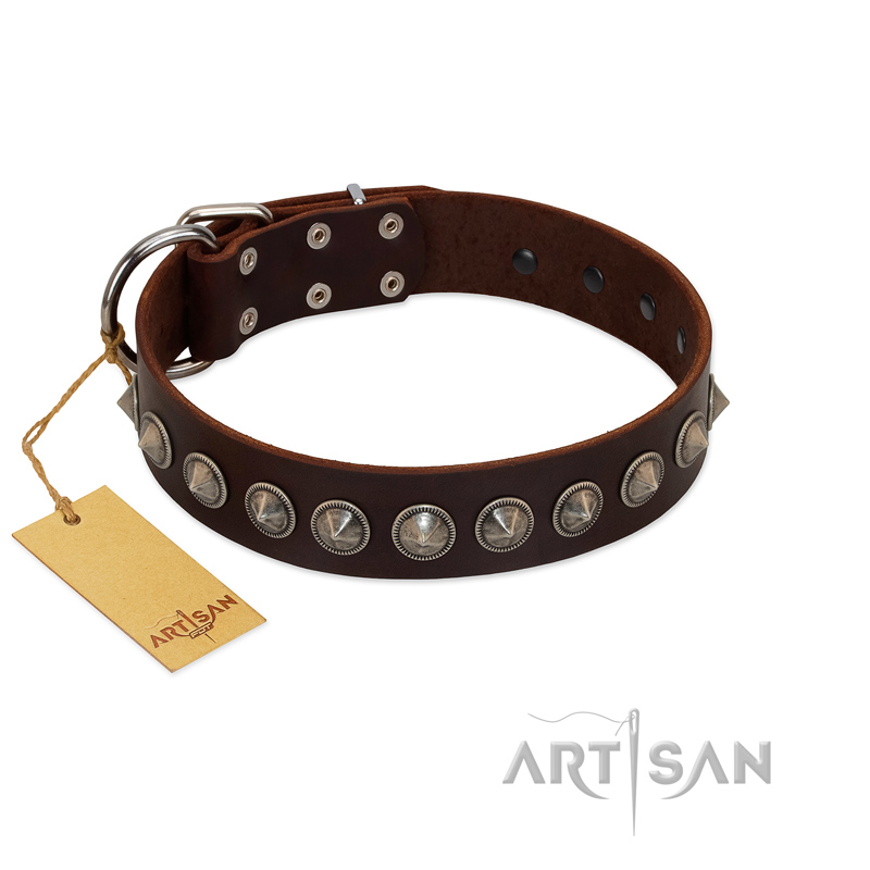 "Gothic Style" FDT Artisan Fancy Brown Leather Riesenschnauzer Collar with Silver-Like Decorations