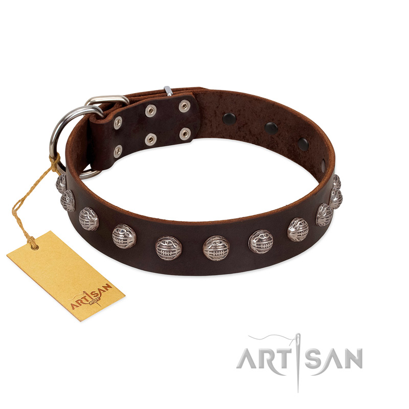 "Lucky Silver" Designer Handmade FDT Artisan Brown Leather Riesenschnauzer Collar