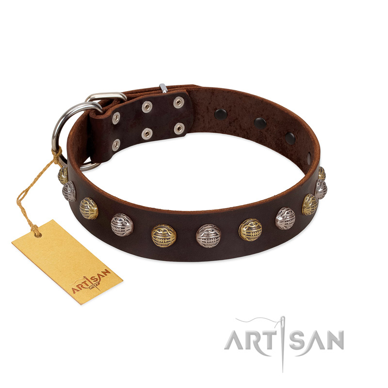 "Gape Buster" FDT Artisan Brown Leather Riesenschnauzer Collar with One Row of Studs