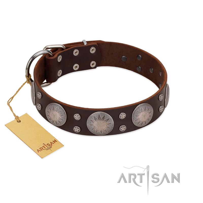 "Imperial Legate" FDT Artisan Brown Leather Riesenschnauzer Collar with Big Round Plates