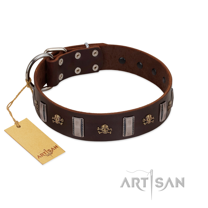 "War Chief" FDT Artisan Genuine Brown Leather Riesenschnauzer Collar with Skulls and Plates