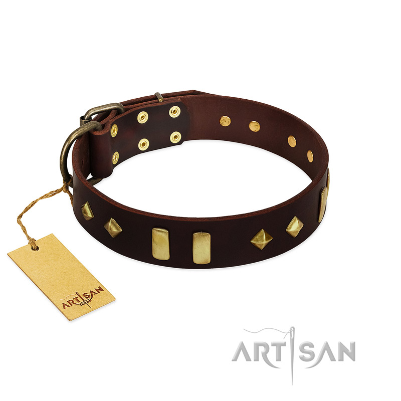 "Blinking Illusion" FDT Artisan Brown Leather Riesenschnauzer Collar with Old Bronze-like Studs and Plates