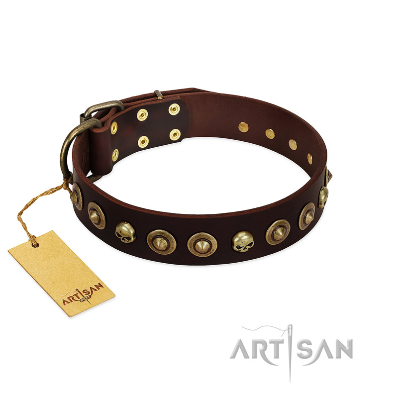 "Street Fashion" FDT Artisan Brown Leather Riesenschnauzer Collar Adorned with Circles and Skulls