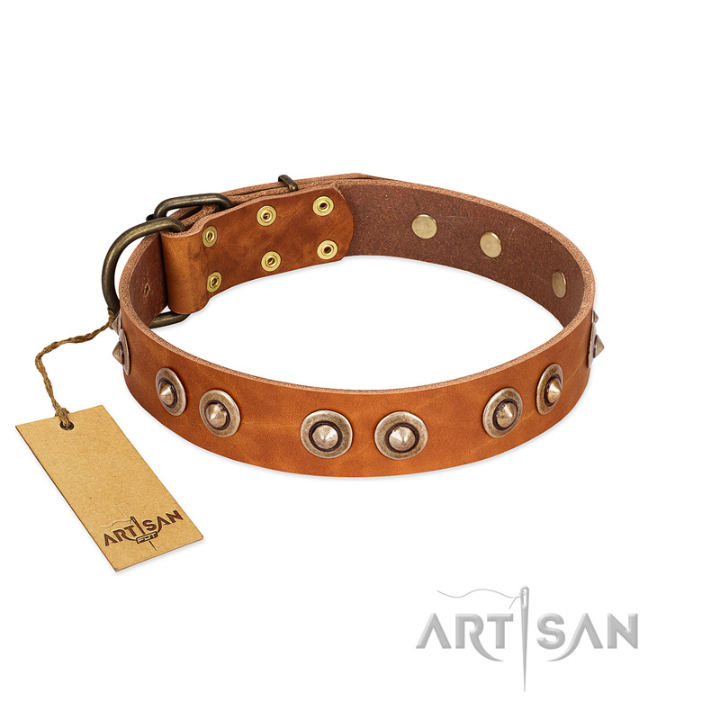 "Precious Relic" FDT Artisan Tan Leather Riesenschnauzer Collar Adorned with Old Bronze Look Studs
