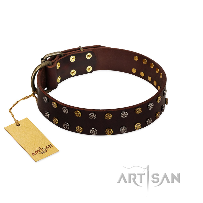 "To the Moon and Back" FDT Artisan Brown Leather Riesenschnauzer Collar with Bronze-like Star Studs