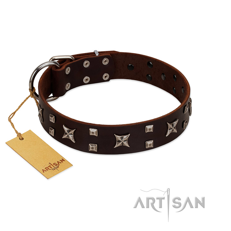 "Bigwig Woof" FDT Artisan Brown Leather Riesenschnauzer Collar with Chrome Plated Stars and Square Studs - Click Image to Close