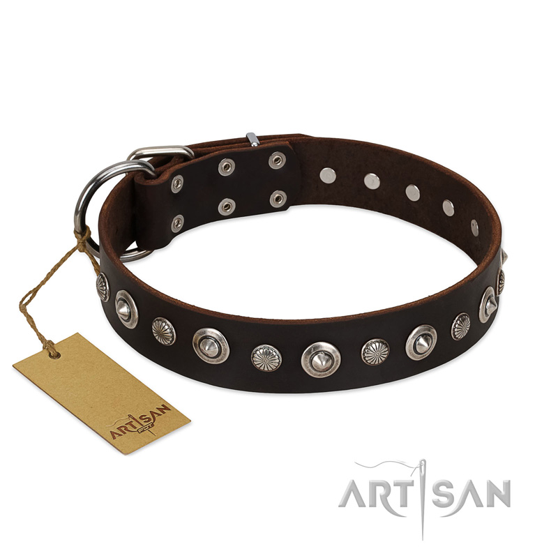 "Gorgeous Shields" FDT Artisan Brown Leather Riesenschnauzer Collar with Old Silver-like Circles and Small Camomiles