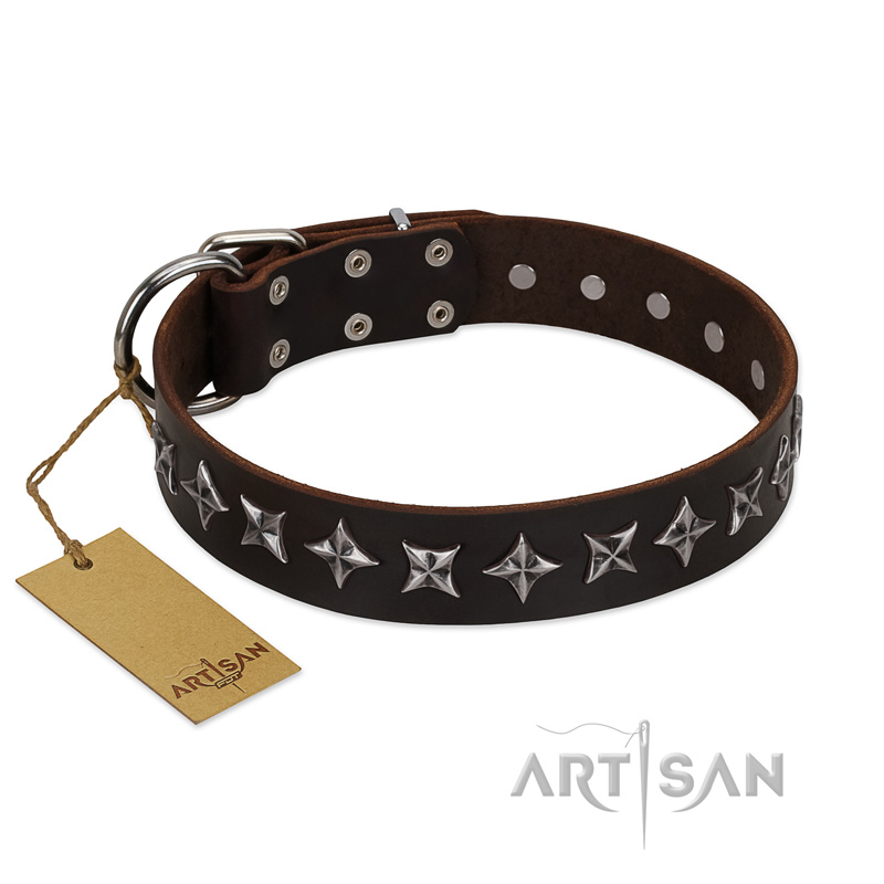"Stars of Glory" FDT Artisan Brown Leather Riesenschnauzer Collar for Comfortable Walking