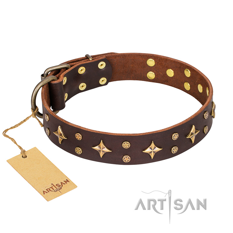 "High Fashion" FDT Artisan Embellished Brown Leather Riesenschnauzer Collar