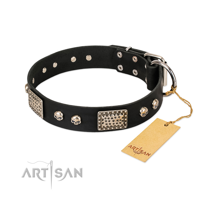 "Pirates Gold" FDT Artisan Black Leather Riesenschnauzer Collar with Old Silver Look Plates and Skulls