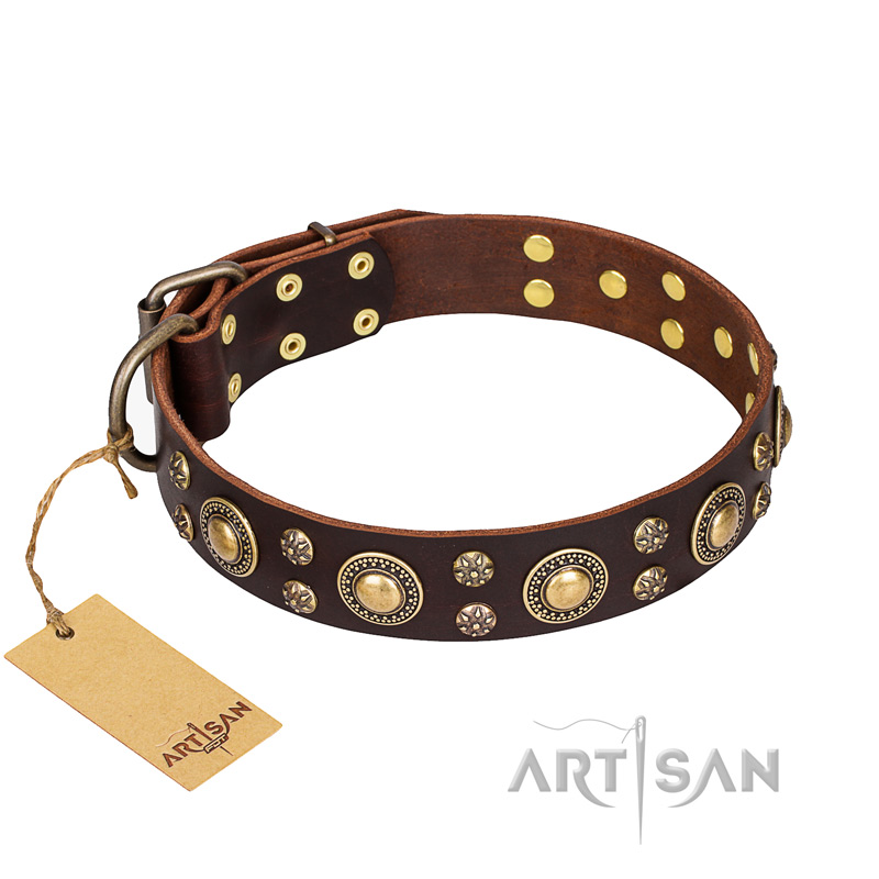 "Flower Melody" FDT Artisan Brown Leather Riesenschnauzer Collar with Mixed Studs