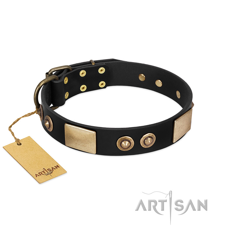 "Moon of Dreams" Black FDT Artisan Leather Riesenschnauzer Collar with Plates and Conchos