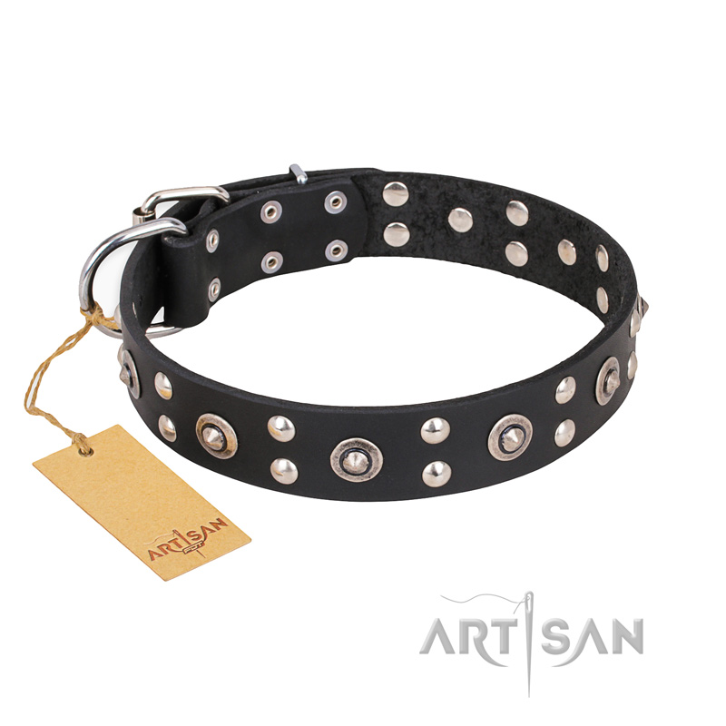 "Refined Essence" FDT Artisan Black Leather Riesenschnauzer Collar with Silvery Studs