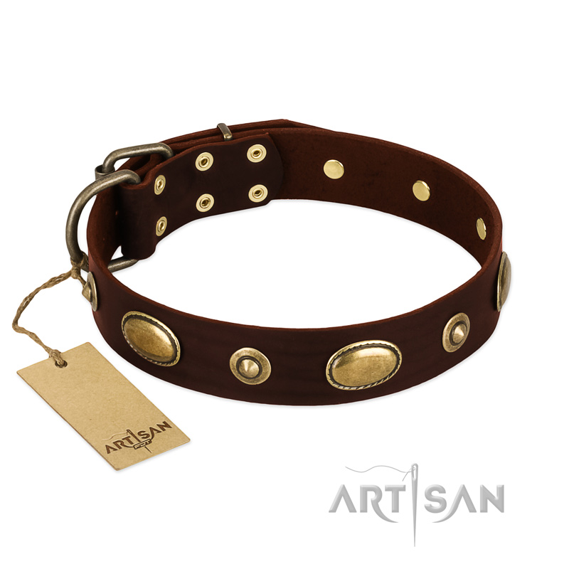 "Hebe's Jewel" FDT Artisan Brown Genuine Leather Riesenschnauzer Collar