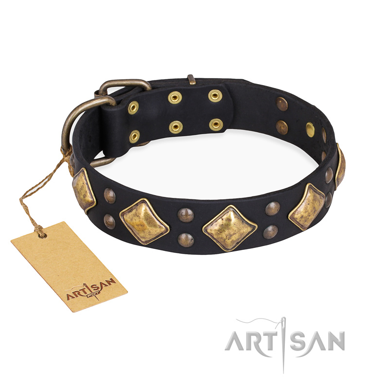 "Fancy-Schmancy" FDT Artisan Studded Leather Riesenschnauzer Collar