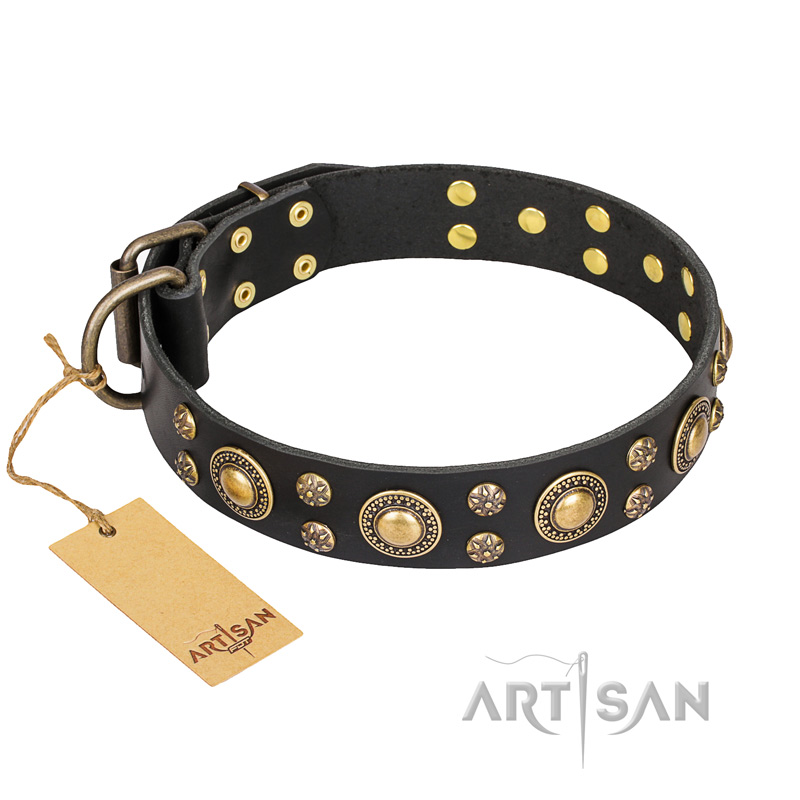 "Baroque Chic" FDT Artisan Studded Black Leather Riesenschnauzer Collar
