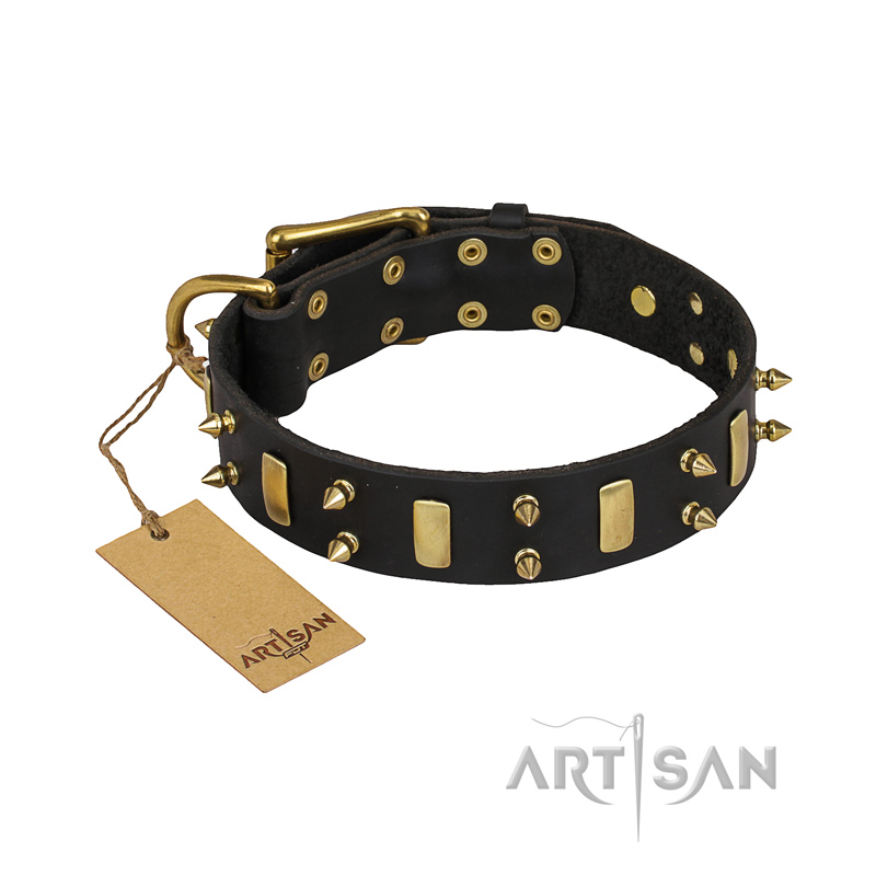 "Medieval Style" FDT Artisan Leather Riesenschnauzer Collar with Brass Plated Plates and Spikes