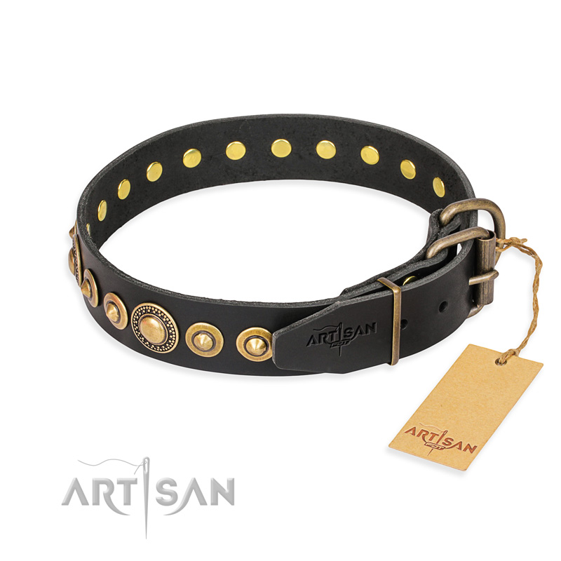 "Gold Mine" FDT Artisan Black Leather Riesenschnauzer Collar with Amazing Bronze-Plated Round Studs