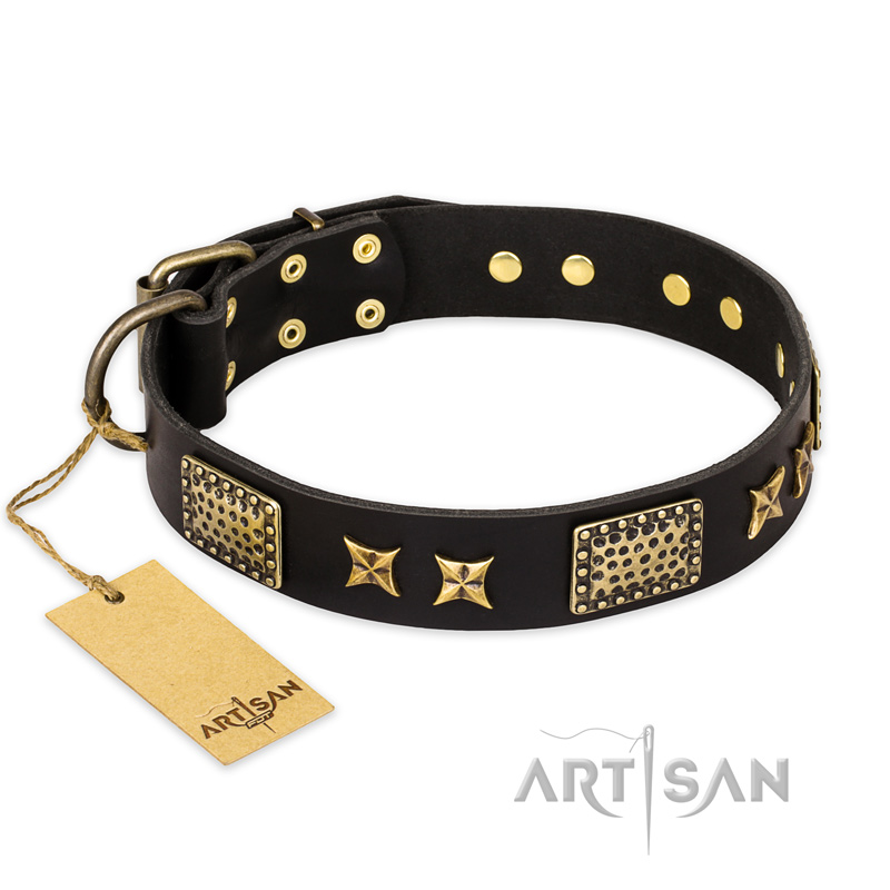 "Passion for Style and Beauty" FDT Artisan Decorated Black Leather Riesenschnauzer Collar