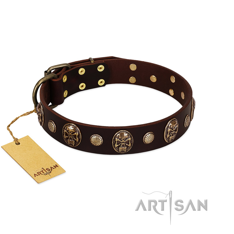 "Snazzy Paws" FDT Artisan Brown Leather Riesenschnauzer Collar Adorned with Conchos and Medallions