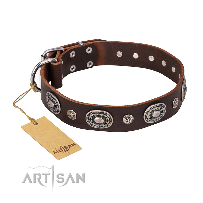 "Extra Pizzazz" FDT Artisan Adorned Brown Leather Riesenschnauzer Collar