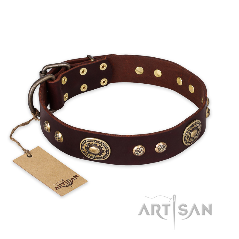"Breath of Elegance" FDT Artisan Decorated with Plates Brown Leather Riesenschnauzer Collar - Click Image to Close