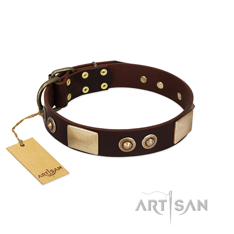 "Sense of Freedom" FDT Artisan Brown Leather Riesenschnauzer Collar with Old Bronze-Plated Studs and Plates