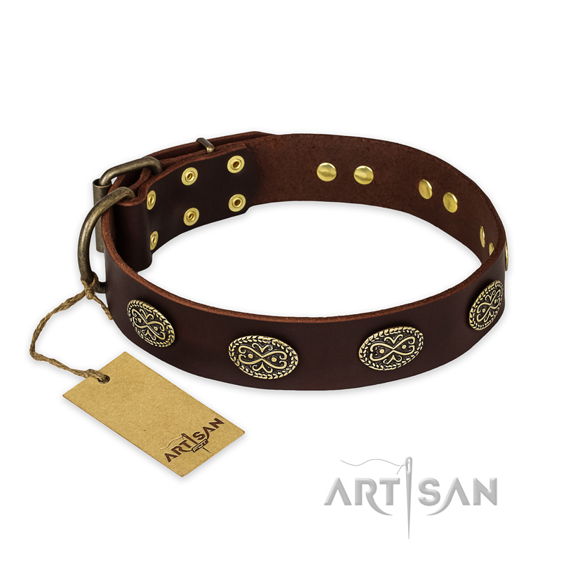 "Chocolate kiss" FDT Artisan Leather Riesenschnauzer Collar with Old Bronze Look Oval Plates