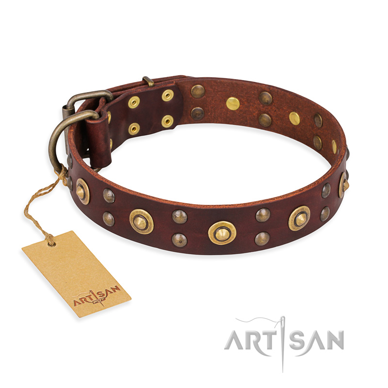 "Caprice of Fashion" FDT Artisan Brown Leather Riesenschnauzer Collar with Round Decorations