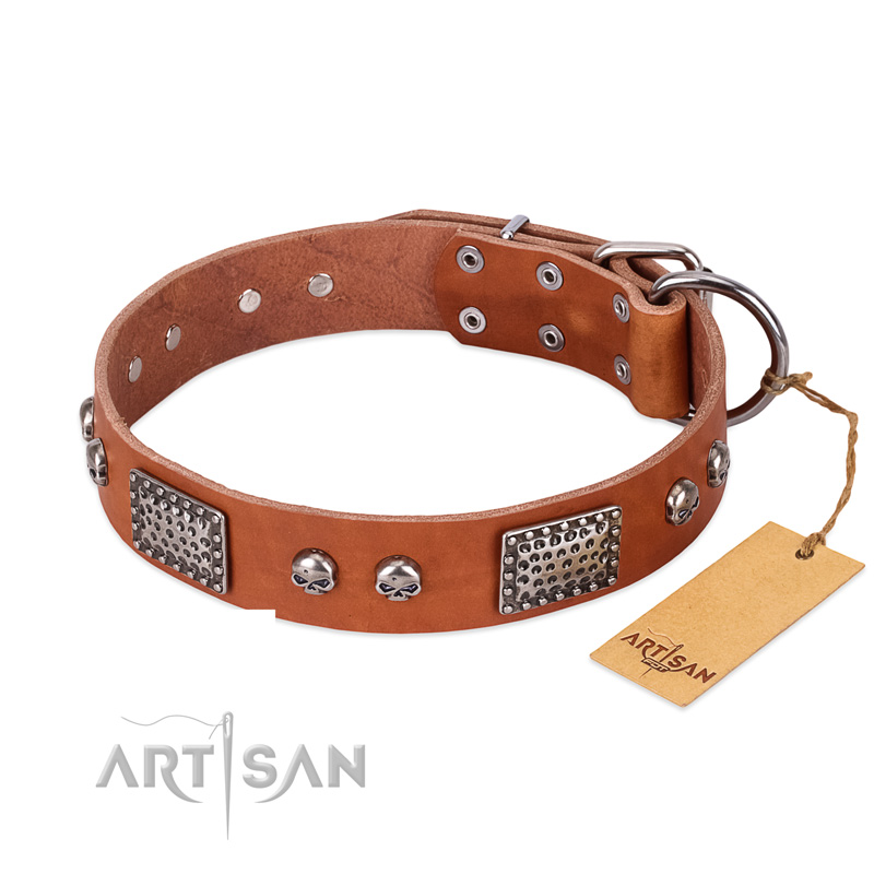 "Sparkling Skull" FDT Artisan Tan Leather Riesenschnauzer Collar with Old Silver Look Plates and Skulls