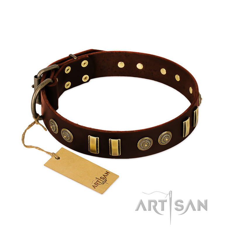 "Golden Elegance" FDT Artisan Brown Leather Riesenschnauzer Collar with Old Bronze-like Decorations