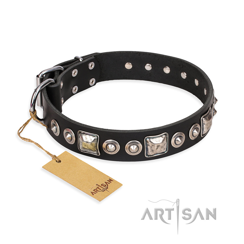 "Eternal Beauty and Style" FDT Artisan Adorned Black Leather Riesenschnauzer Collar