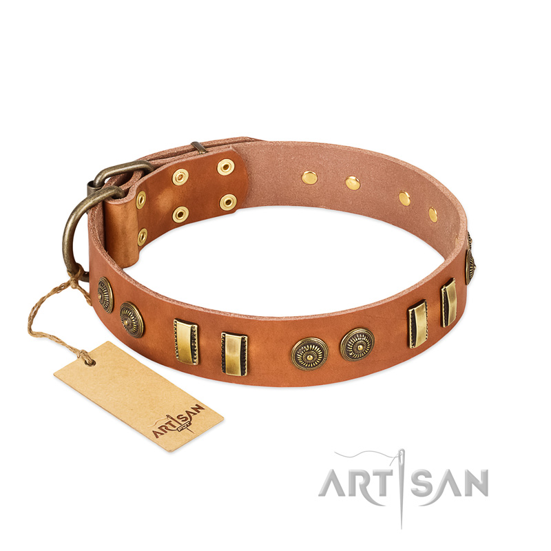 "Natural Beauty" FDT Artisan Tan Leather Riesenschnauzer Collar with Old Bronze-like Circles and Plates