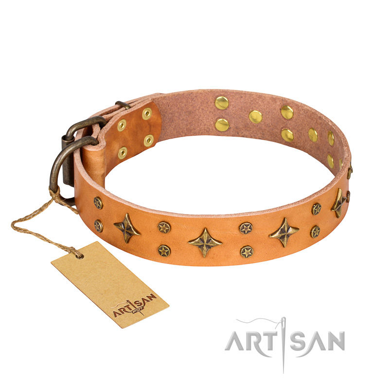 "Top-Flight" FDT Artisan Adorned Tan Leather Riesenschnauzer Collar