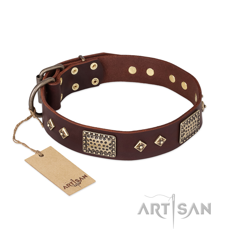 "Loving Owner" FDT Artisan Decorated Leather Riesenschnauzer Collar with Plates and Studs