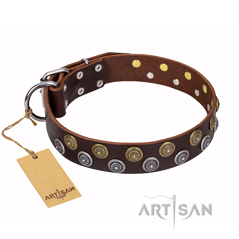 "Strong Shields" FDT Artisan leather Riesenschnauzer collar with stylish decorations