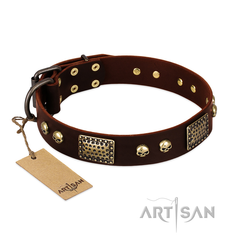 "Magic Amulet" Brown Leather Riesenschnauzer Collar with Skulls and Plates