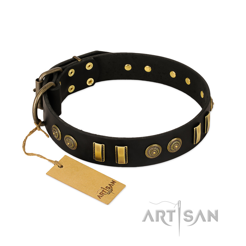"Simple Elegance" FDT Artisan Black Leather Riesenschnauzer Collar with Old Bronze-like Plates and Circles