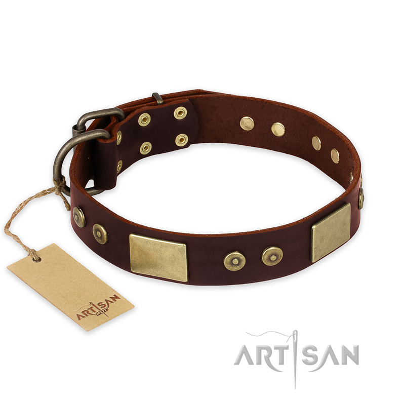 "Shining Armour" FDT Artisan Brown Leather Riesenschnauzer Collar with Decorations