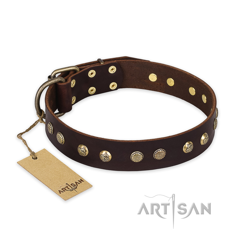 "Bronze Sheen" FDT Artisan Leather Riesenschnauzer Collar with Brass-Plated Studs