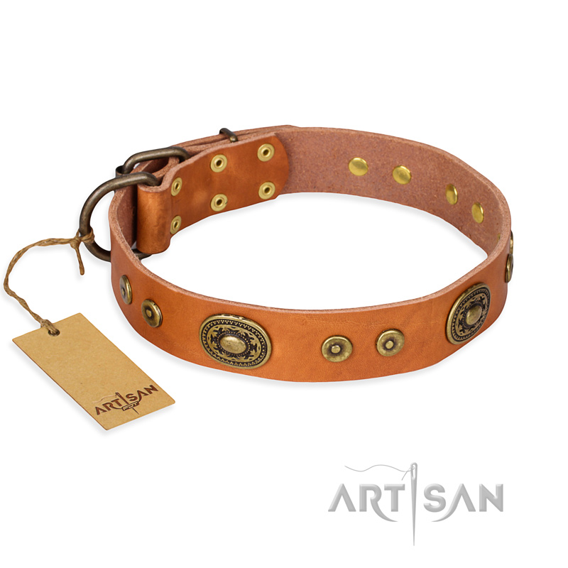 "Dandy Pet" FDT Artisan Handcrafted Tan Leather Riesenschnauzer Collar