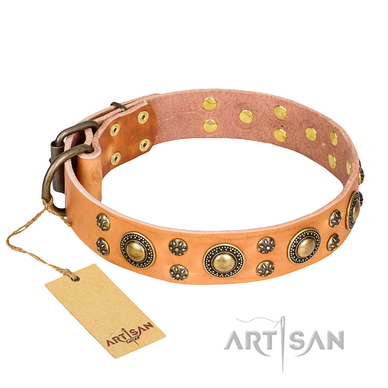 "Sophisticated Glamor" FDT Artisan Leather Riesenschnauzer Collar with Fancy Old Bronze-like Plated Decorations