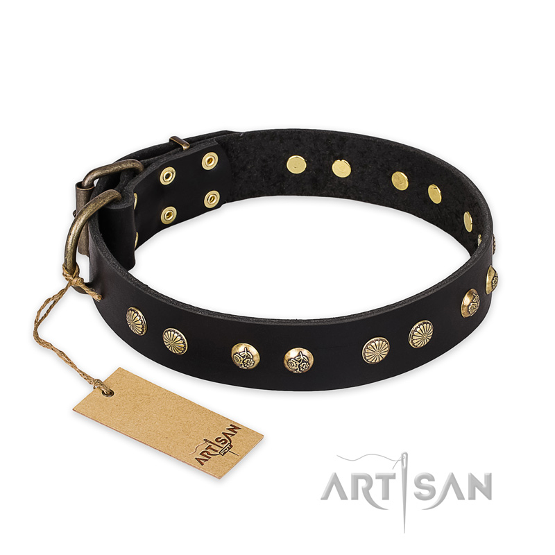 "Black Elegance" FDT Artisan Leather Riesenschnauzer Collar with Round Studs